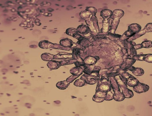Coronavirus in Nepal