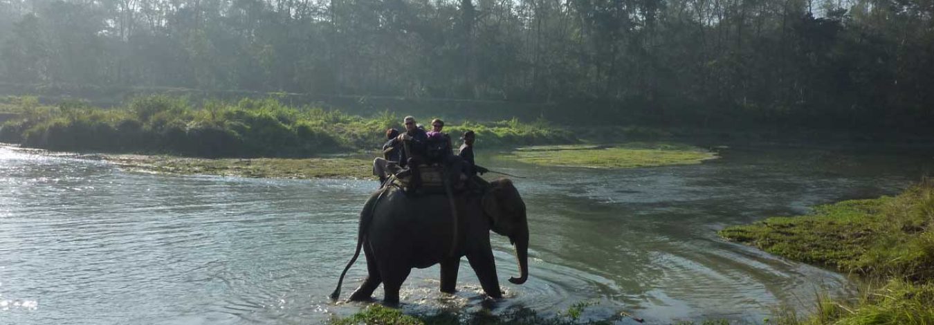  Chitwan jungle safari tour 