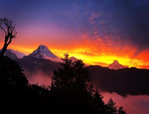 Solo Tourist banned in Nepal
